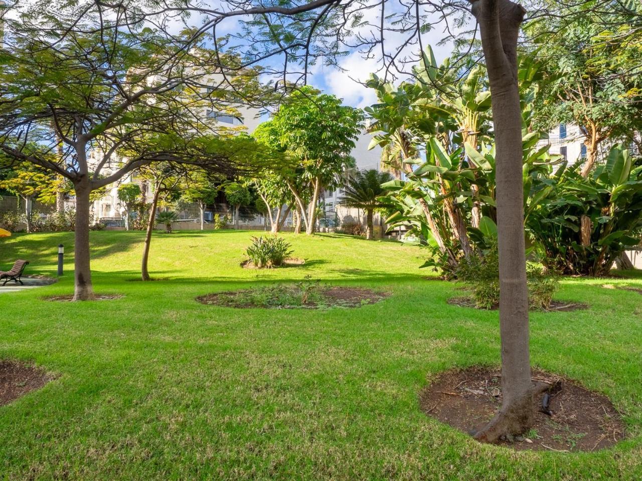 Apartment Abora Garden With Terrace, Pool, Extensive Gardens And Free Parking Las Palmas Buitenkant foto